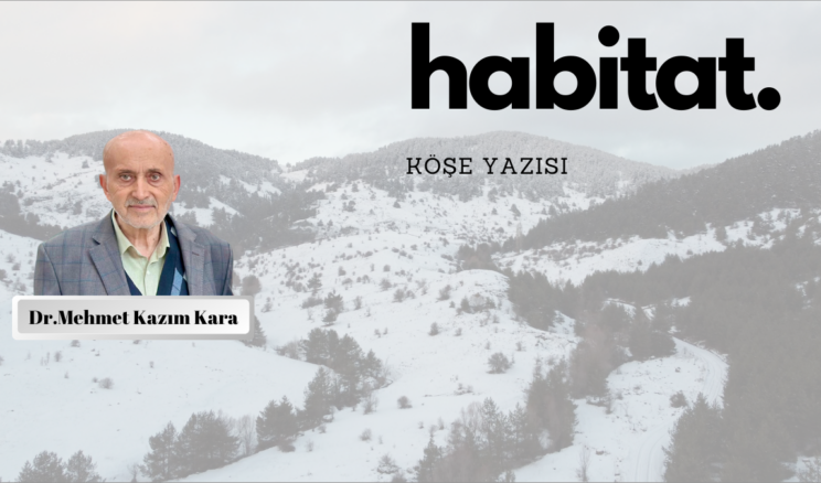 Habitat…