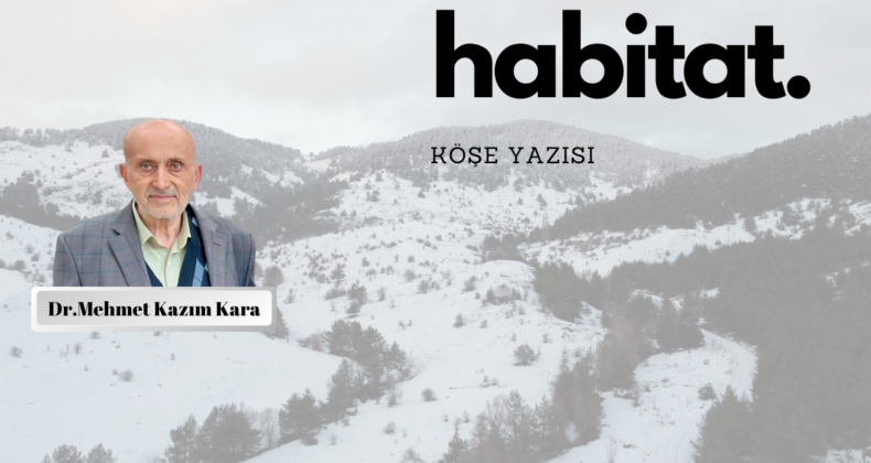 Habitat…