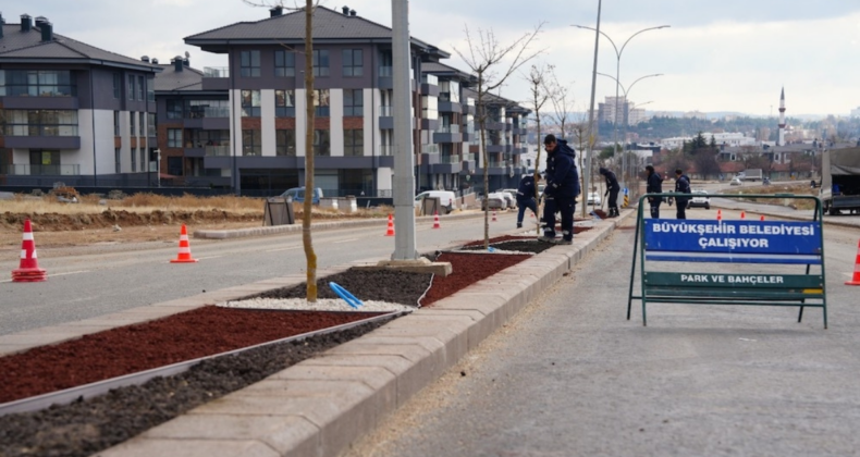 Eskişehir’de kuru peyzaj çalışmalarıyla su tasarrufu sağlanıyor