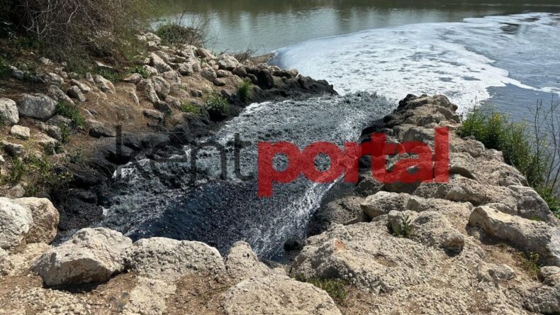 Ceyhan Nehri’ndeki balık ölümleriyle ilgili bakanlık harekete geçti