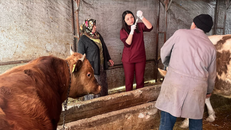 Çamlıdere’de belediye veteriner hizmeti başladı
