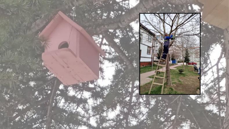 Kahramankazan’da kuşlar için ahşap yuvalar yerleştirildi