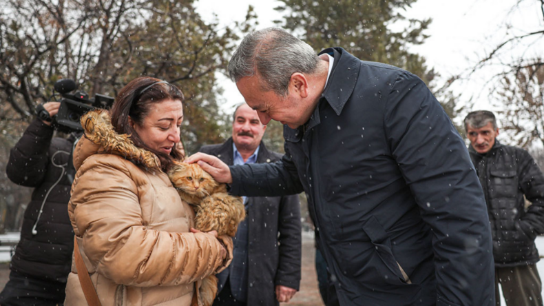 Sivas’ta ‘Kedi Evleri’ projesi hayata geçirildi