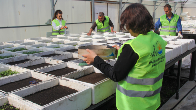Van’da mevsimlik çiçek üretimi başladı