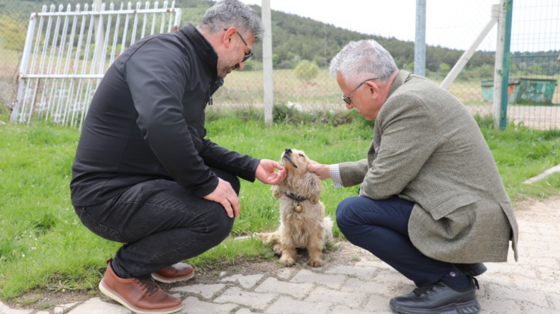 Yozgat’ta “Evcil Köy” projesi gelişmeye devam ediyor