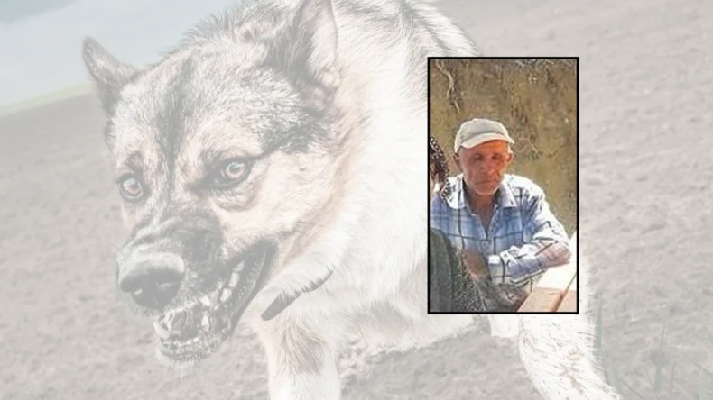 Kayseri’de köpeklerin saldırdığı adam yaşamını yitirdi