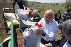 Kızılcahamam’da tarımsal uyanış! 40 yıl aradan sonra toprakla buluşuyor…