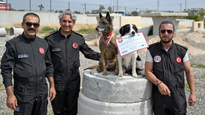 Mersin İtfaiyesi’nin kahraman patileri Ares ve Rex’ten uluslararası başarı