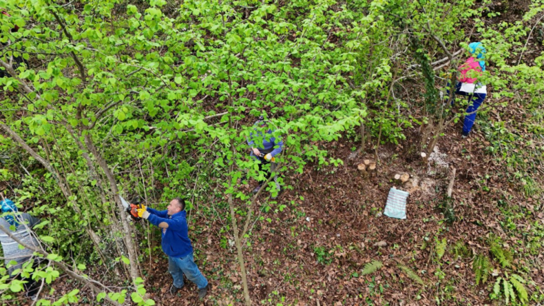 Ordu’da fındık verimliliği üzerine proje yürütülüyor