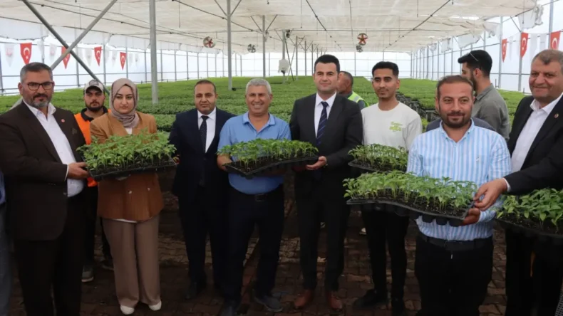 Şanlıurfa’da çiftçilere Urfa Biberi fidesi dağıtıldı