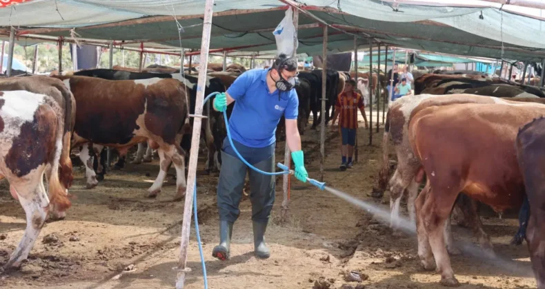 Antalya’da kurban satış noktaları ilaçlanıyor