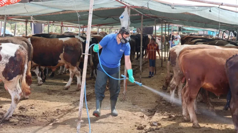 Antalya’da kurban satış noktaları ilaçlanıyor