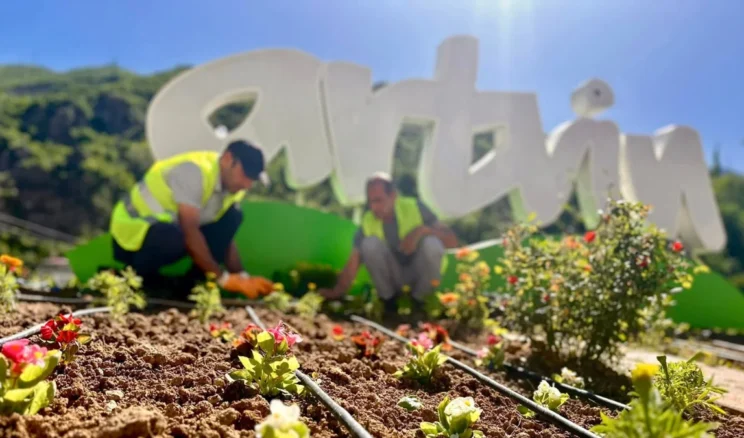 Artvin’de peyzaj çalışması kent genelinde sürüyor