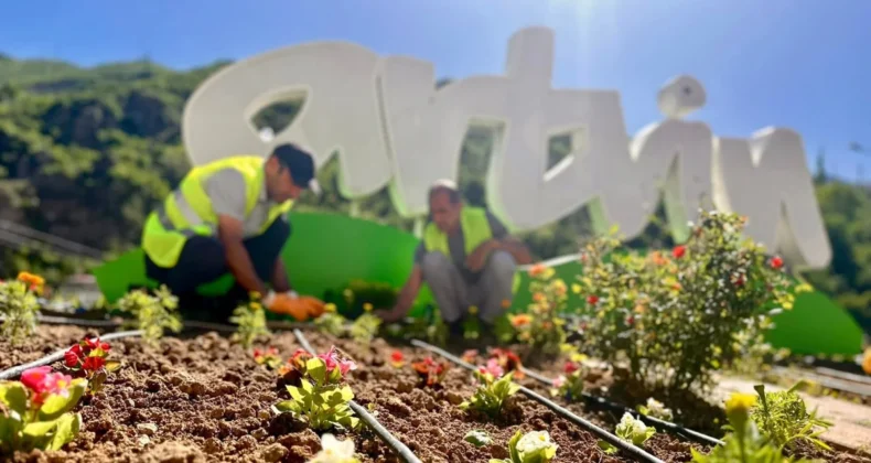 Artvin’de peyzaj çalışması kent genelinde sürüyor