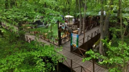 Atakum’da Ata Cafe hizmete açıldı