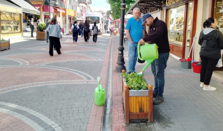 Bartın’da mevsimlik çiçekler saksılara yerleşmeye başladı