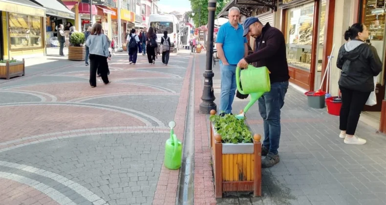 Bartın’da mevsimlik çiçekler saksılara yerleşmeye başladı