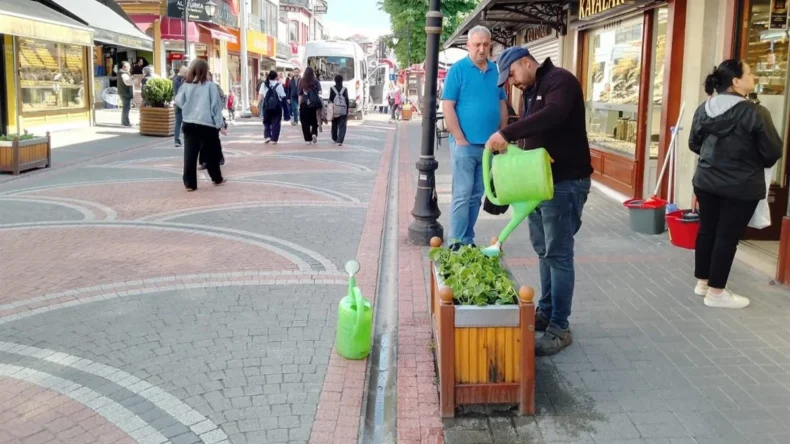 Bartın’da mevsimlik çiçekler saksılara yerleşmeye başladı