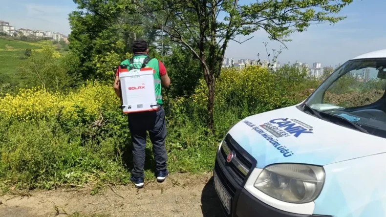 Canik Belediyesi’nden kokarca böceğine karşı mücadele çalışması