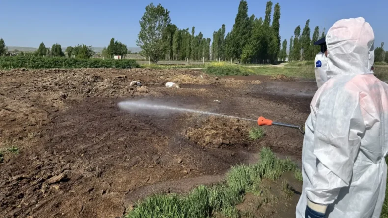 Çorum Belediyesi’nden vektörel mücadele
