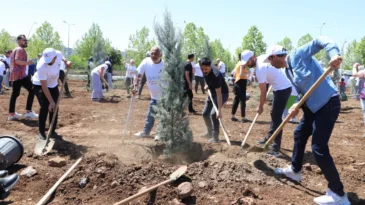 Diyarbakır’da Engelliler Haftası’na özel etkinlik düzenlendi