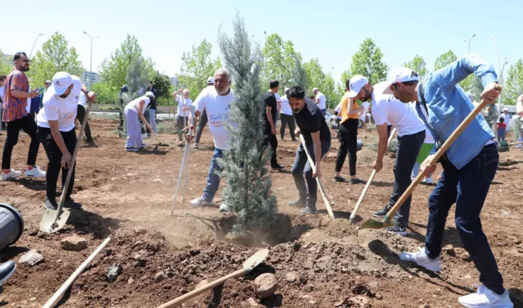 Diyarbakır’da Engelliler Haftası’na özel etkinlik düzenlendi