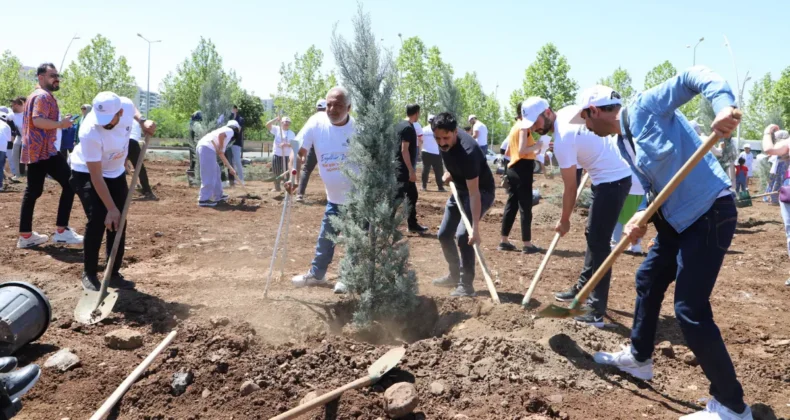 Diyarbakır’da Engelliler Haftası’na özel etkinlik düzenlendi