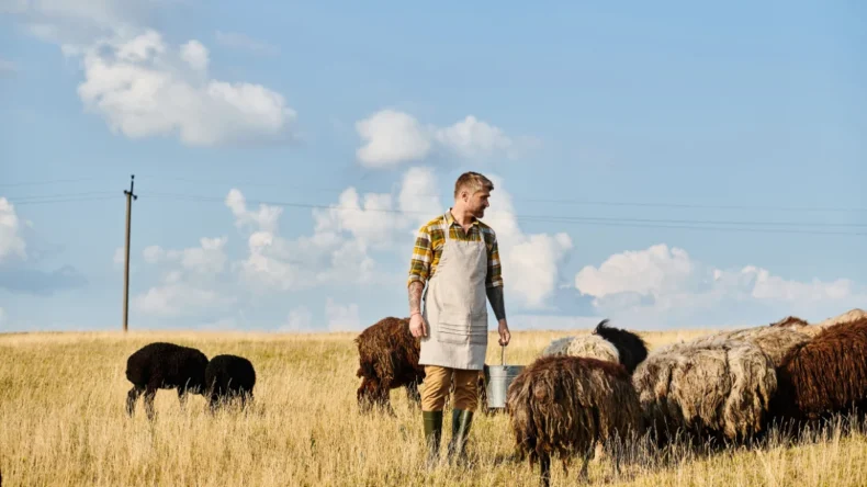 Edirne’de küçük ölçekli üreticiye saman balyası hibe desteği veriliyor