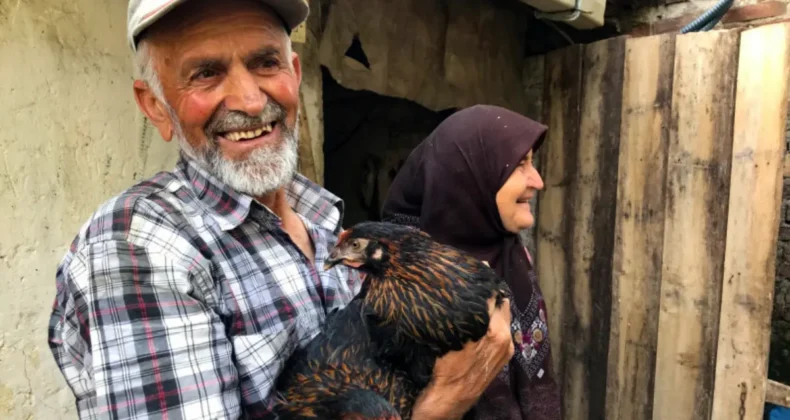 Kocaeli’nde çiftçinin yüzü gülsün diye! Yüzde 50 hibe…
