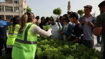 Mardin’de 60 bin fesleğen vatandaşlara dağıtıldı