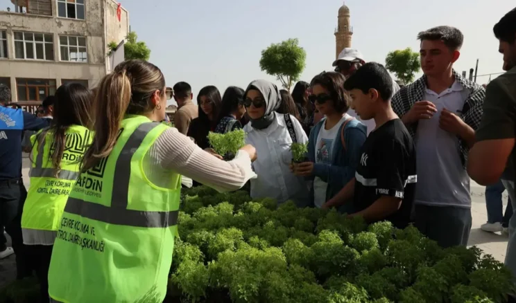 Mardin’de 60 bin fesleğen vatandaşlara dağıtıldı