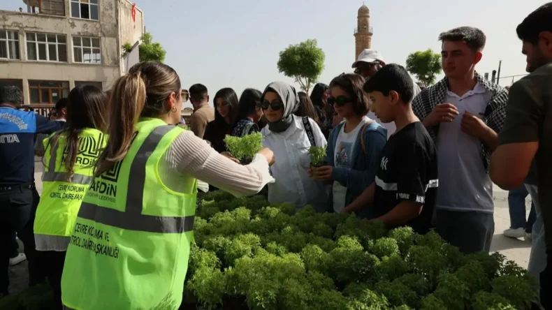 Mardin’de 60 bin fesleğen vatandaşlara dağıtıldı