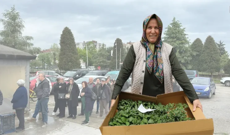 Ordu’da üreticinin yüzü gülüyor! 4 milyonu aşkın sebze fidesi…