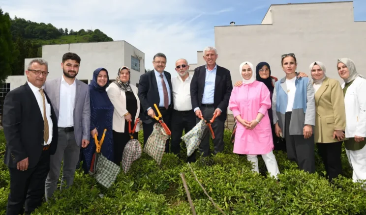 Trabzon’a yeni çay fabrikası kuruluyor