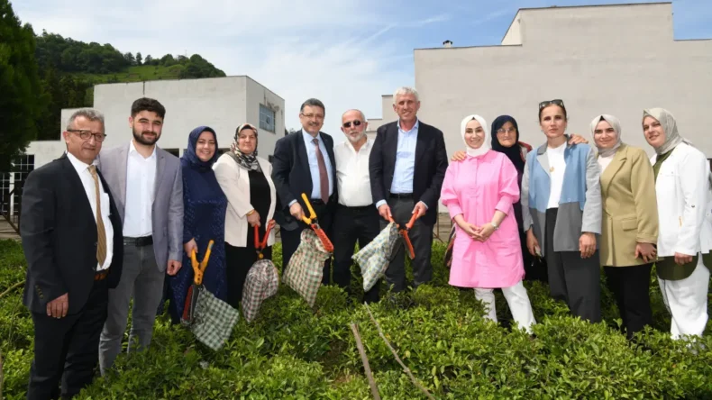 Trabzon’a yeni çay fabrikası kuruluyor