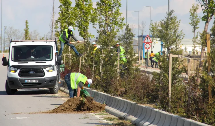 Van’da sahil yoluna bahar dokunuşu