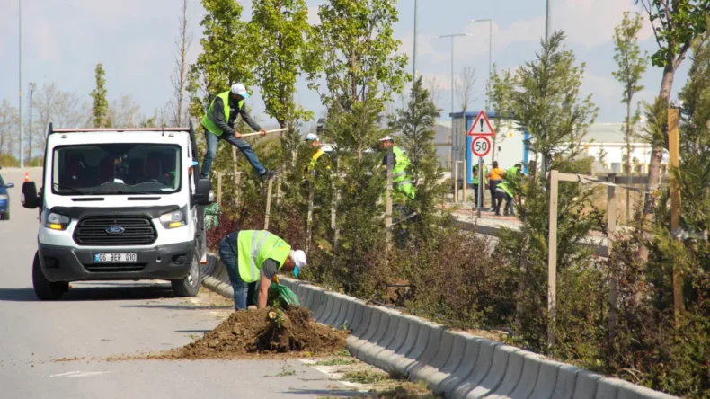 Van’da sahil yoluna bahar dokunuşu