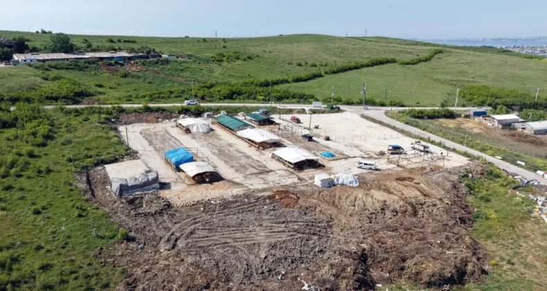 Yalova’da hazırlanan kurban pazarına ücretsiz servis hizmeti verilecek