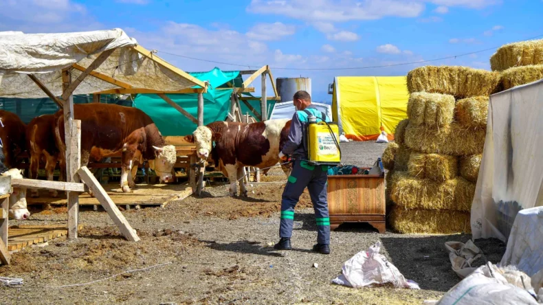 Ankara’da vektörle mücadele çalışması sürüyor