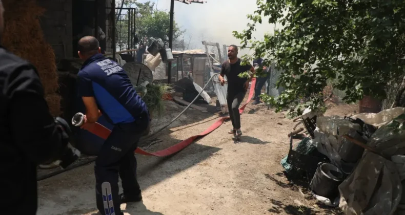Hatay’da belediye ekipleri orman yangınlarıyla mücadele için sahada