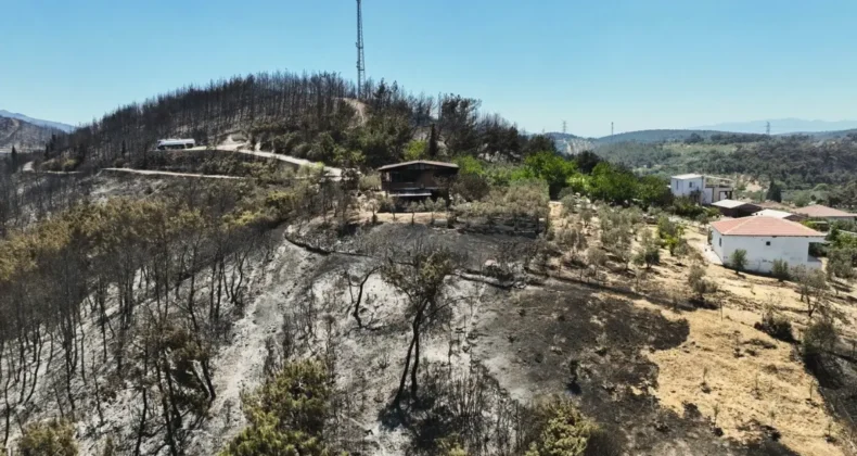 İzmir’deki yangından yeni görüntüler! Yaralar sarılıyor…