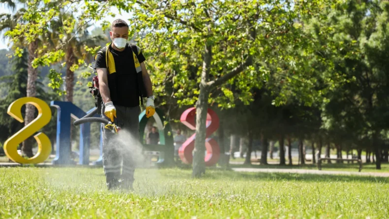 Samsun’da kene vakalarına karşı ilaçlama seferberliği