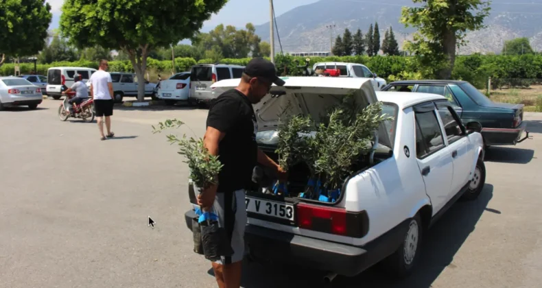 Antalya’da vatandaşa zeytin fidanı dağıtıldı