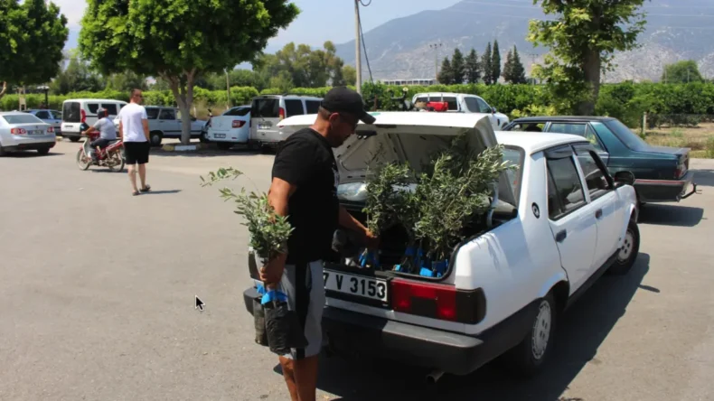 Antalya’da vatandaşa zeytin fidanı dağıtıldı