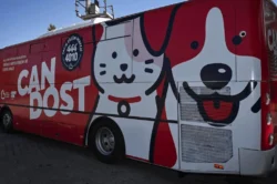 Balıkesir’de sokak hayvanları Can Dost’a emanet: Program belli oldu