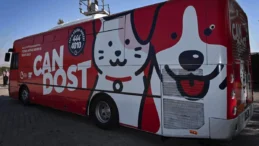 Balıkesir’de sokak hayvanları Can Dost’a emanet