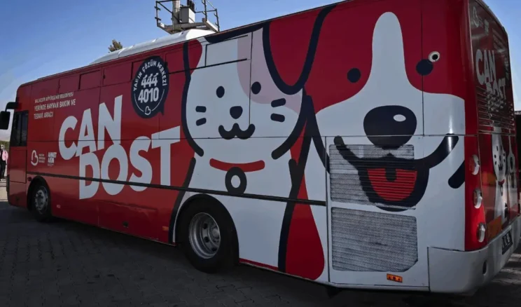 Balıkesir’de sokak hayvanları Can Dost’a emanet
