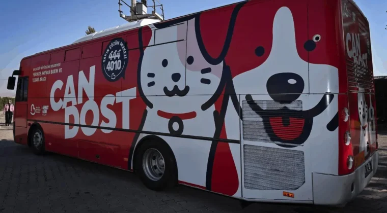 Balıkesir’de sokak hayvanları Can Dost’a emanet: Program belli oldu