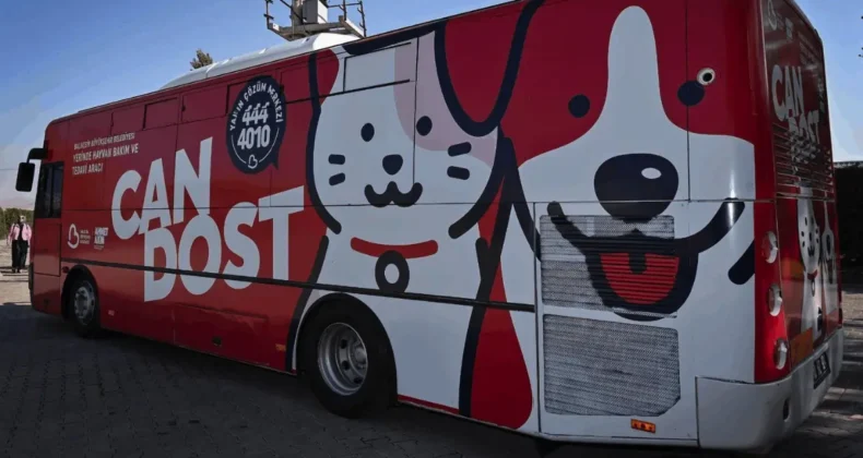 Balıkesir’de sokak hayvanları Can Dost’a emanet