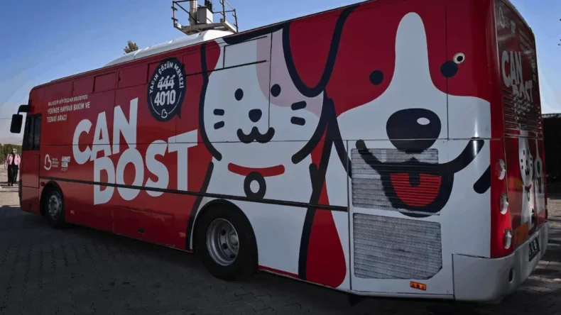 Balıkesir’de sokak hayvanları Can Dost’a emanet: Program belli oldu